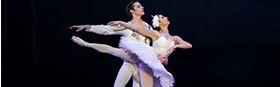 Swan Lake
