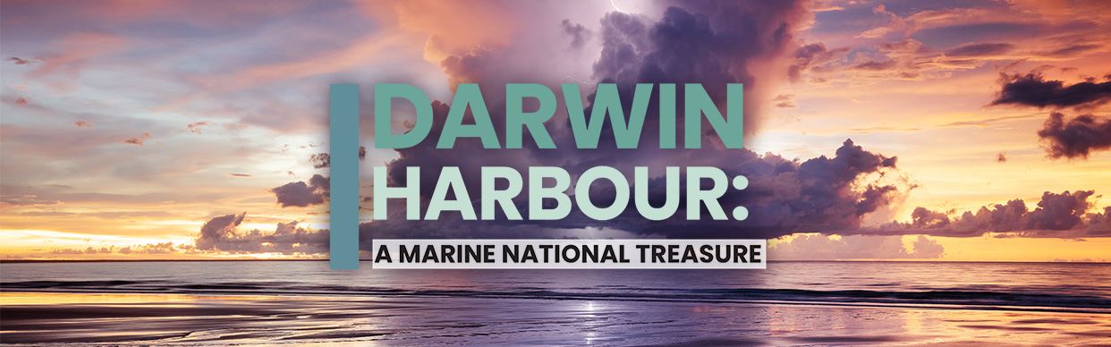 Darwin Harbour: A Marine National Treasure