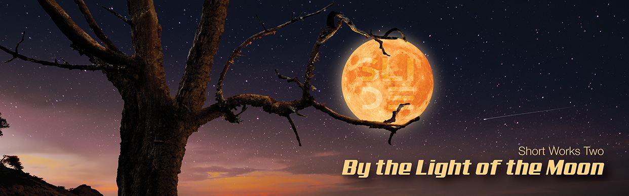 Short Works:  By the Light of the Moon