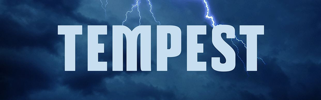 The 2025 Beat Festival - Tempest